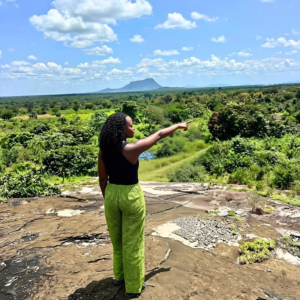 Land Viewing & Assessment Service